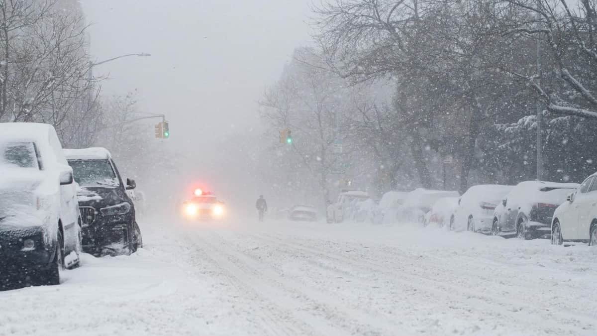 Video: Nueva York declara estado de emergencia por nevada