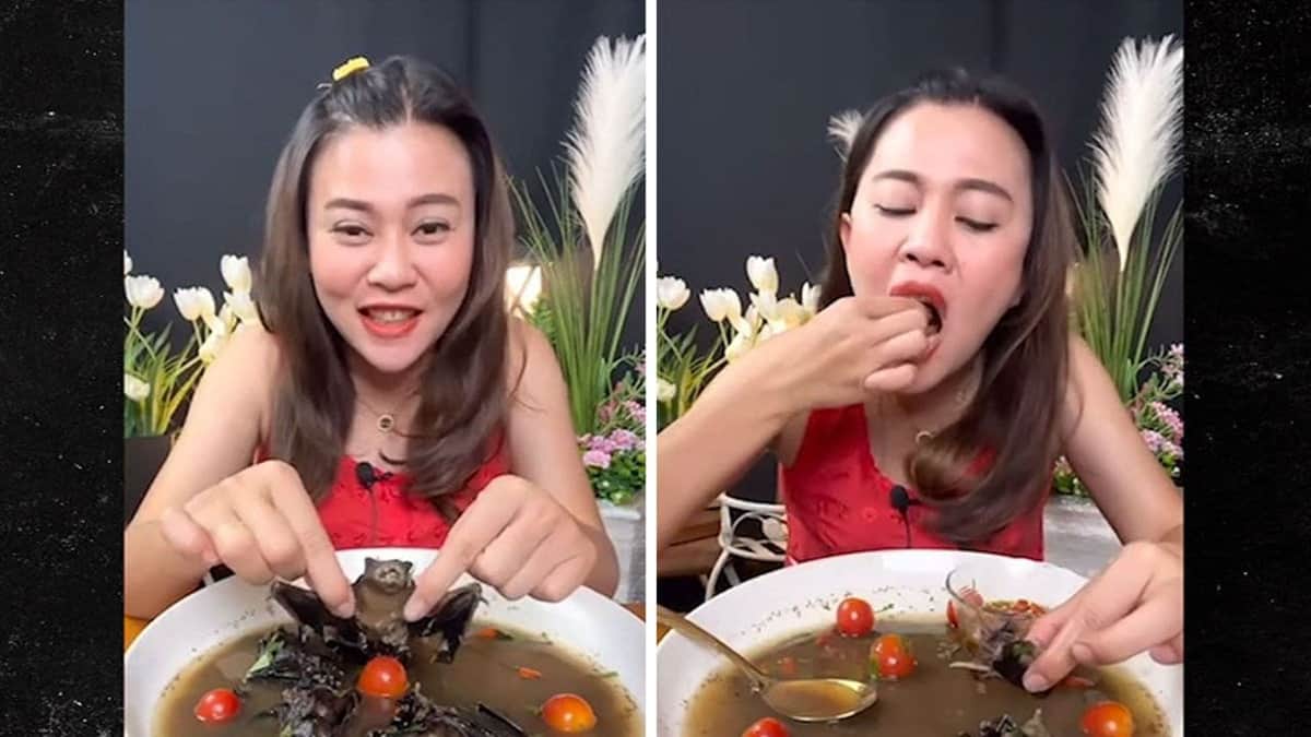 Video: Una bloguera tailandesa se enfrenta a cinco años de cárcel por grabarse comiendo murciélagos
