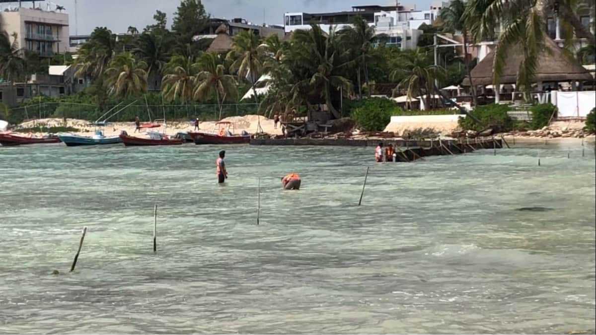 Hotel Panama Jack realiza obras sin permiso en Playa del Carmen; Profepa no ha intervenido