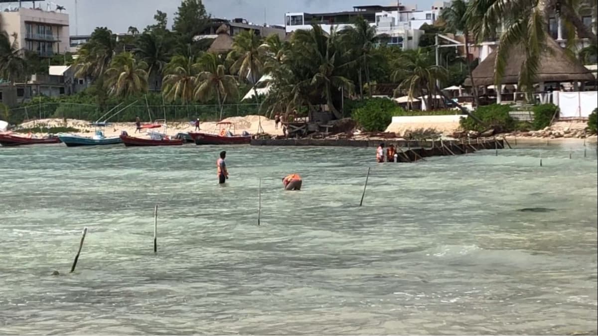 Hotel Panama Jack realiza obras sin permiso en Playa del Carmen; Profepa no ha intervenido
