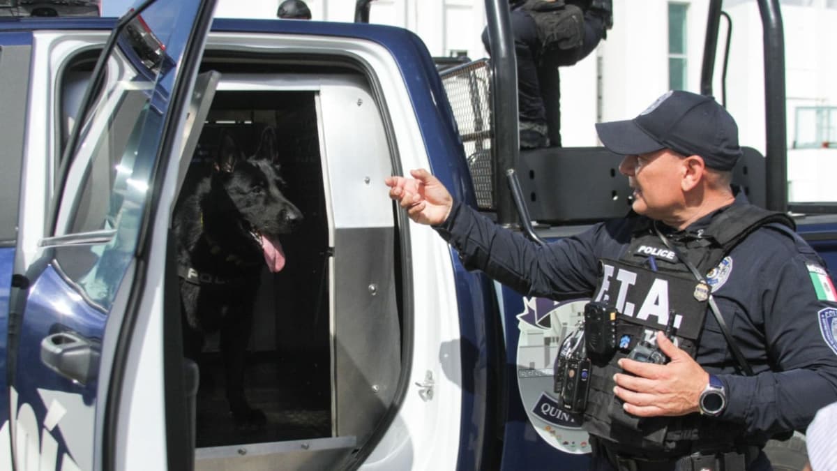 Unidad Canina contribuye en la reducción delictiva en Solidaridad