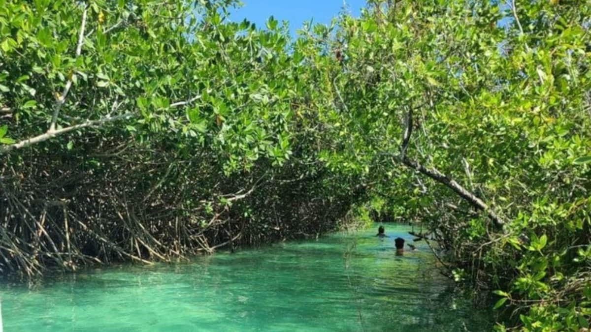 Hay que generar infraestructura en Maya Ka'an antes de pensar en la promoción masiva del destino: CPTQ