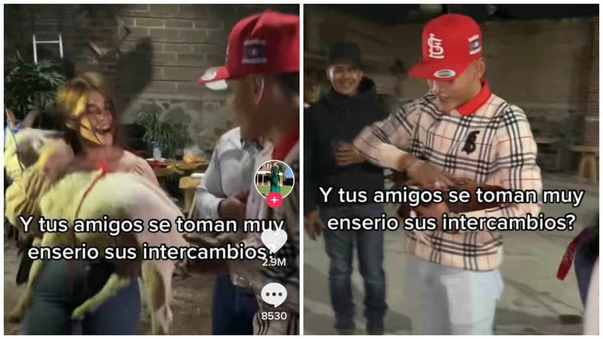 Video: Amigos se regalaron un gallo y una cabra en el intercambio navideño