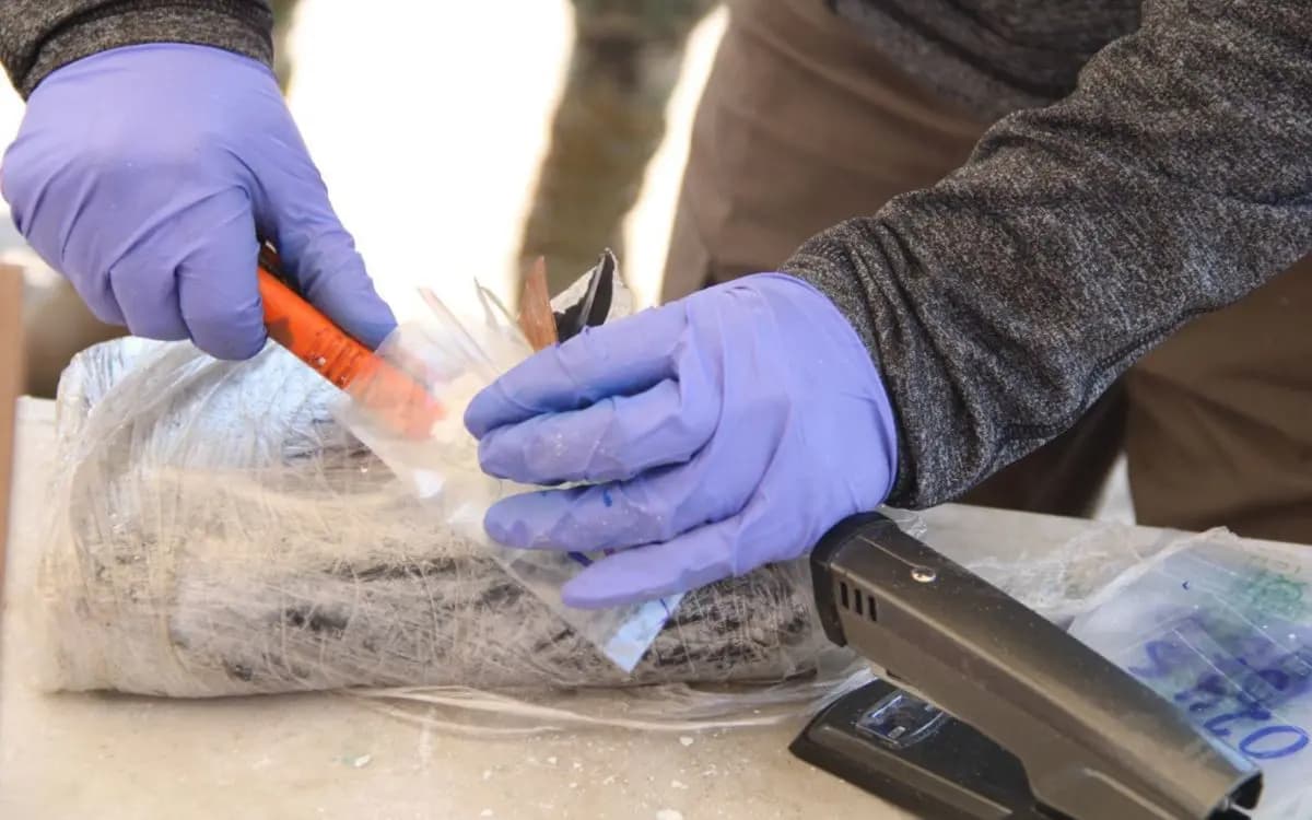 Ejército asegura aeronave con 469 kilos de cocaína en Sinaloa