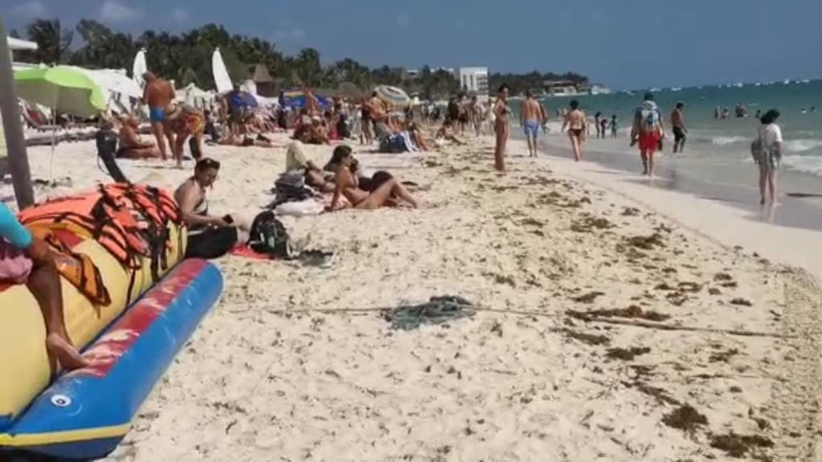 Nutrida afluencia; hasta 12 mil bañistas se dejan ver en Playa del Carmen