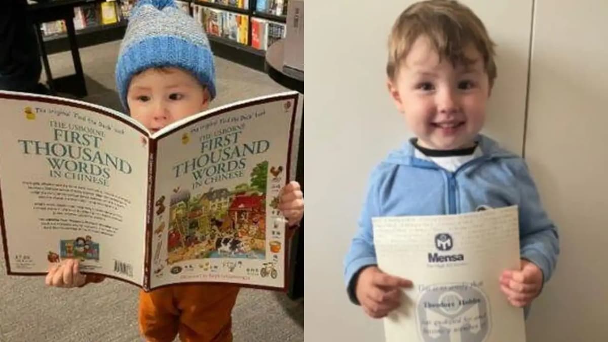 Bebé de 2 años aprende a leer solo y en 7 idiomas: Ya está en academia de superdotados