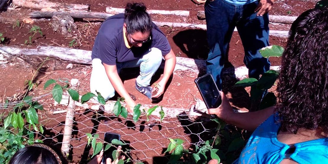 IMPULSA GOBIERNO DE PUERTO MORELOS A MUJERES DEL CAMPO