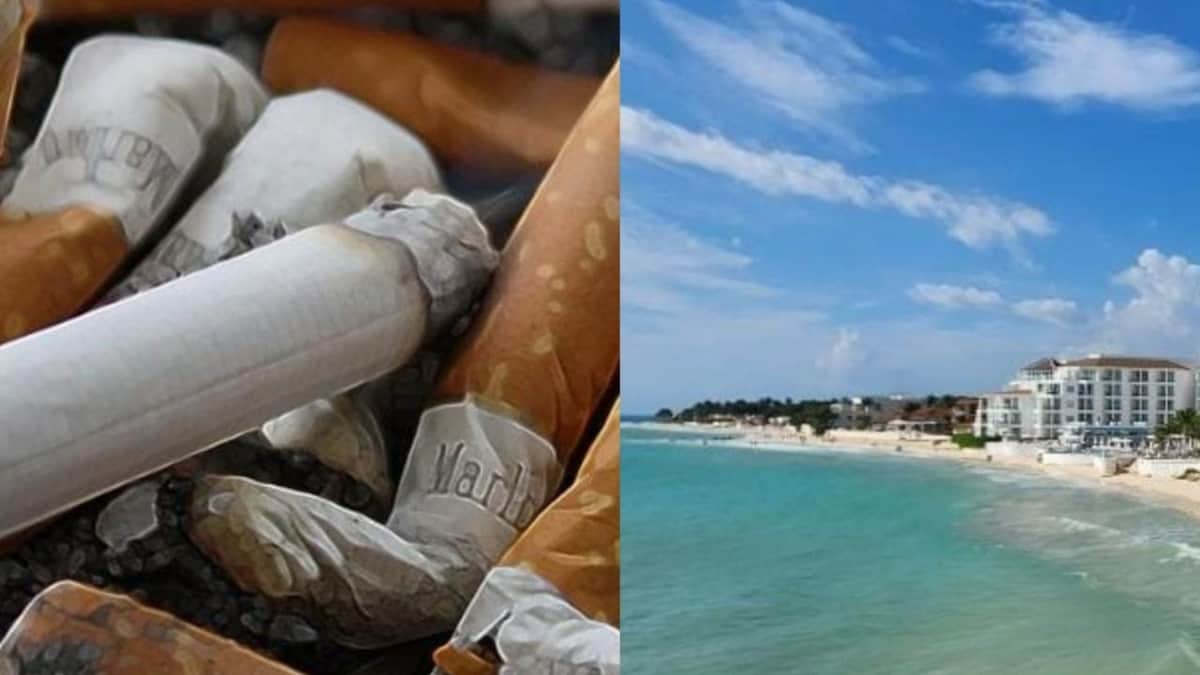 Se colocará señalética para que bañistas sepan que ya no pueden fumar en las playas: Zofemat