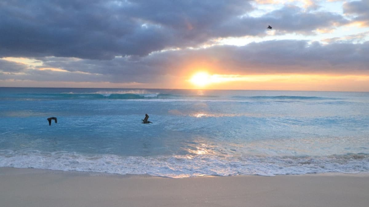 En Fitur fortalecerá Ana Patricia Peralta liderazgo de Cancún