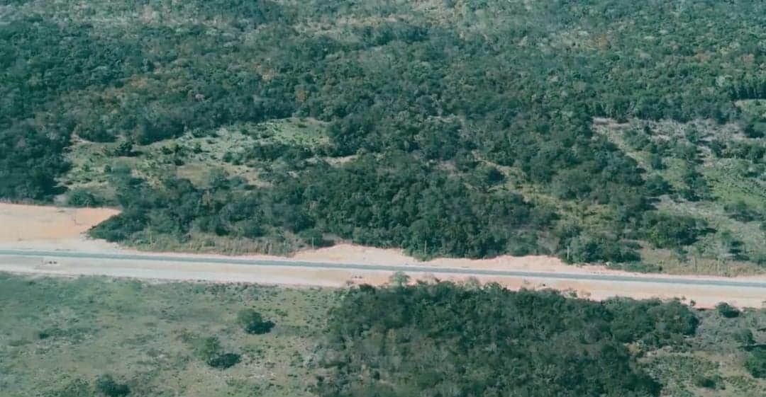 Video: Asegura AMLO que rieles del tramo 3 del Tren Maya estarán listos en marzo