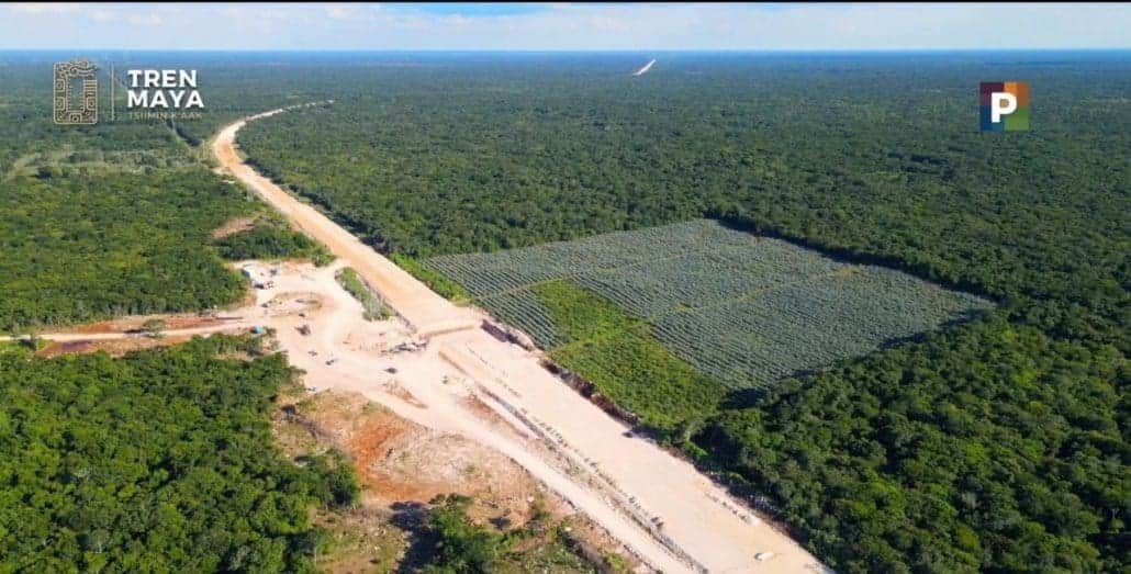 Alista gobierno federal expropiación de 10 terrenos en Tulum y Felipe Carrillo Puerto