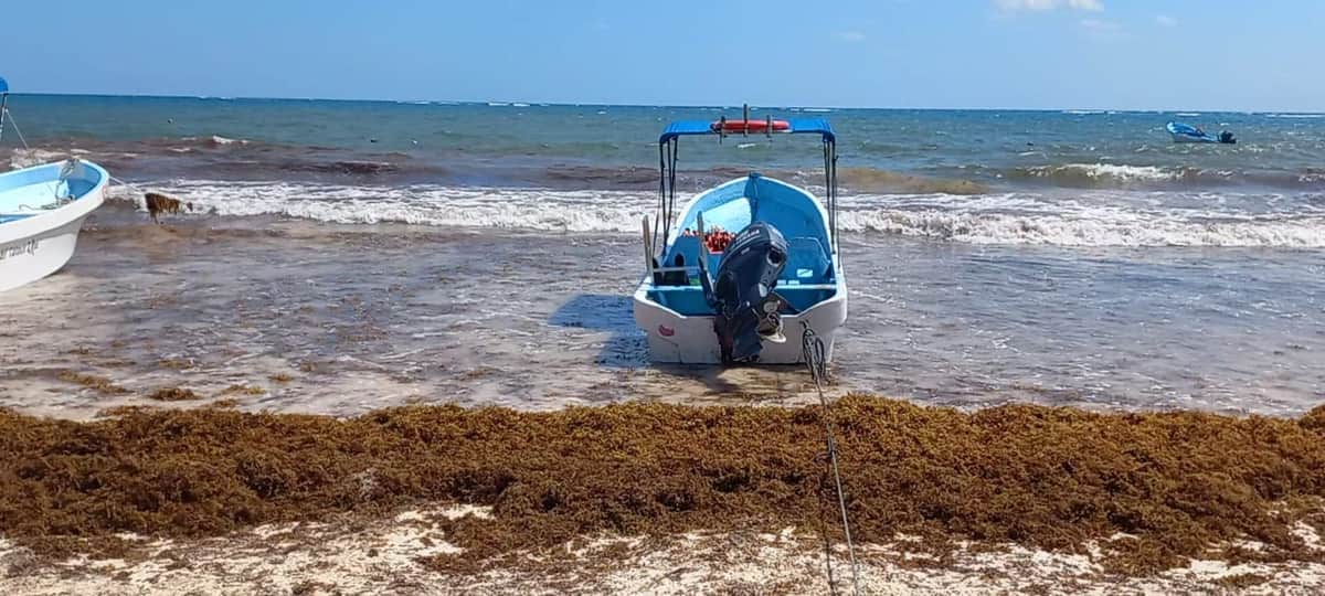 Ante recale de sargazo, turisteros promueven cenotes en Tulum