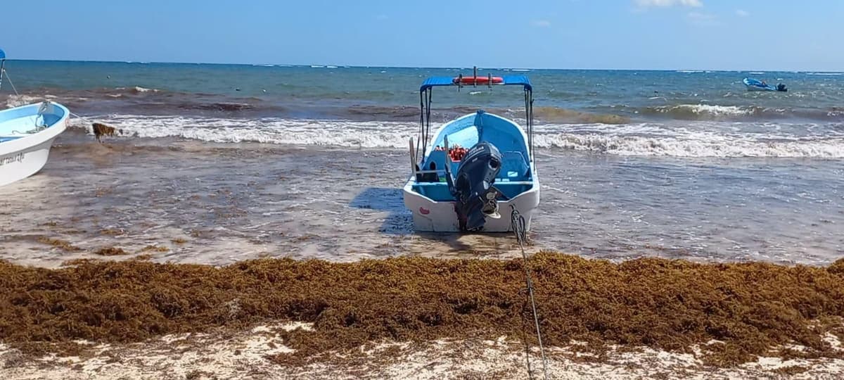 Ante recale de sargazo, turisteros promueven cenotes en Tulum