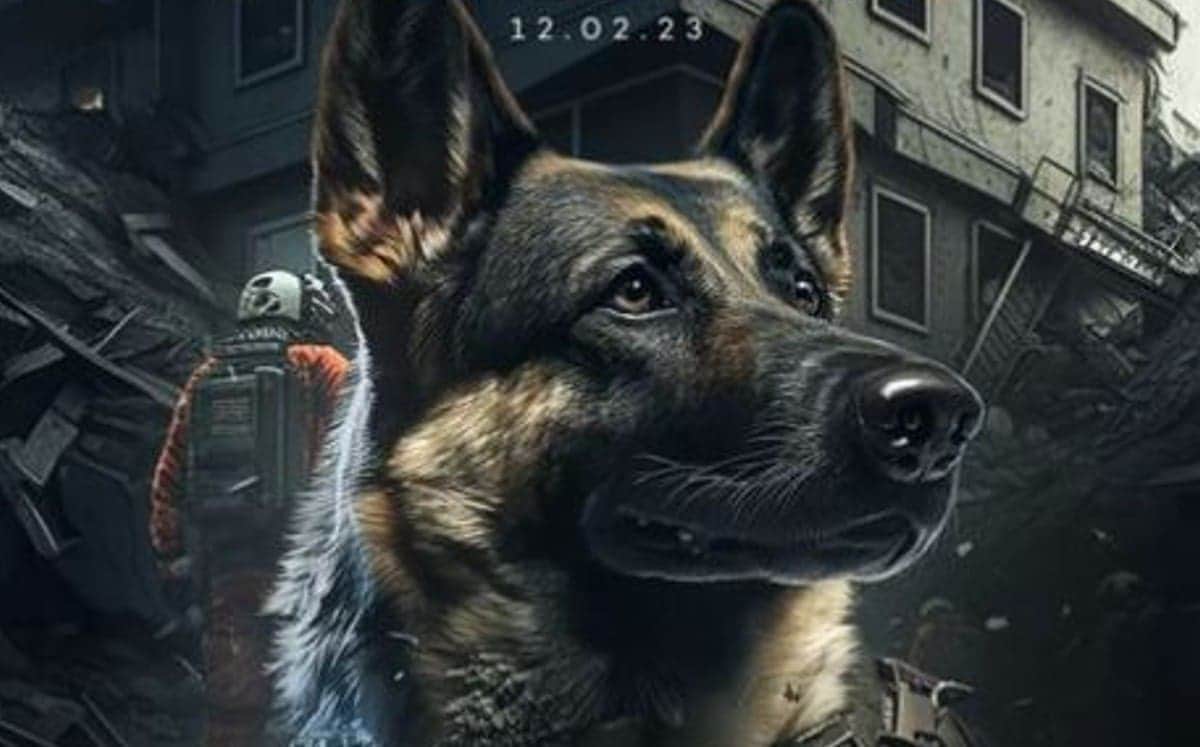 Turquía creará refugio para animales y estatua en honor a Proteo, perro rescatista mexicano