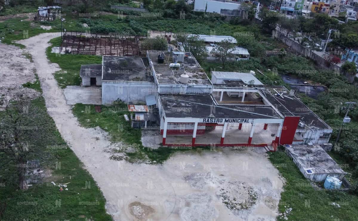 Por malas condiciones higiénicas, suspenden rastro de Cancún