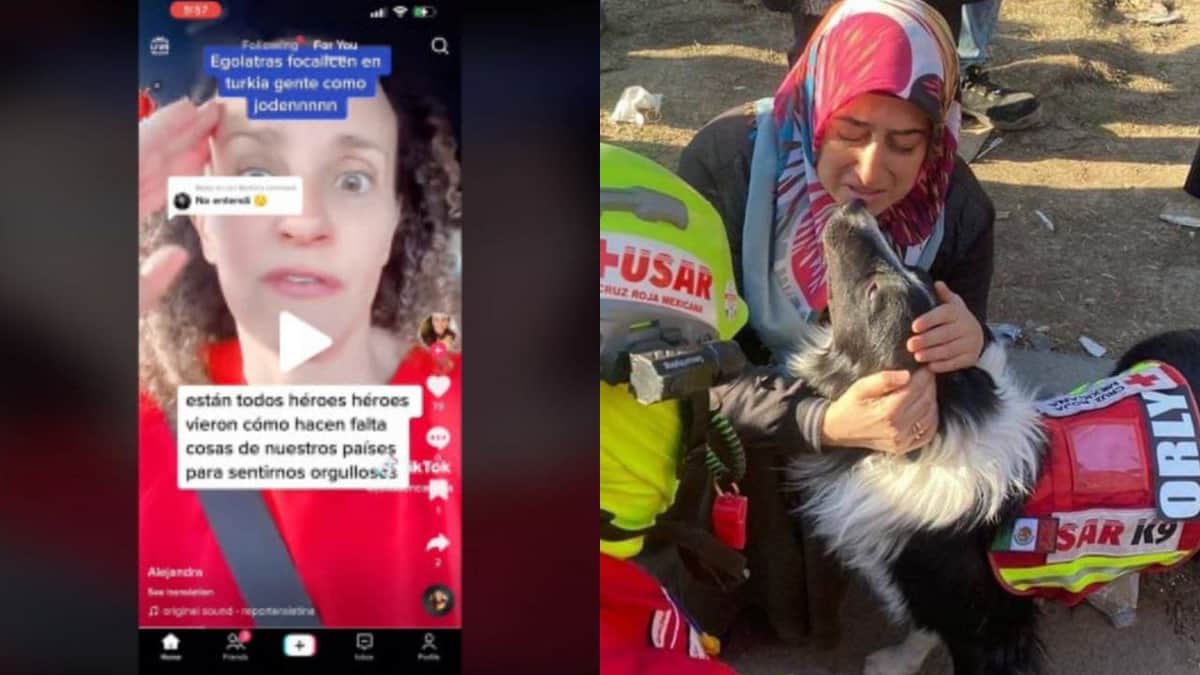 Video: Una argentina despotrica por el 'protagonismo' de los perros rescatistas mexicanos