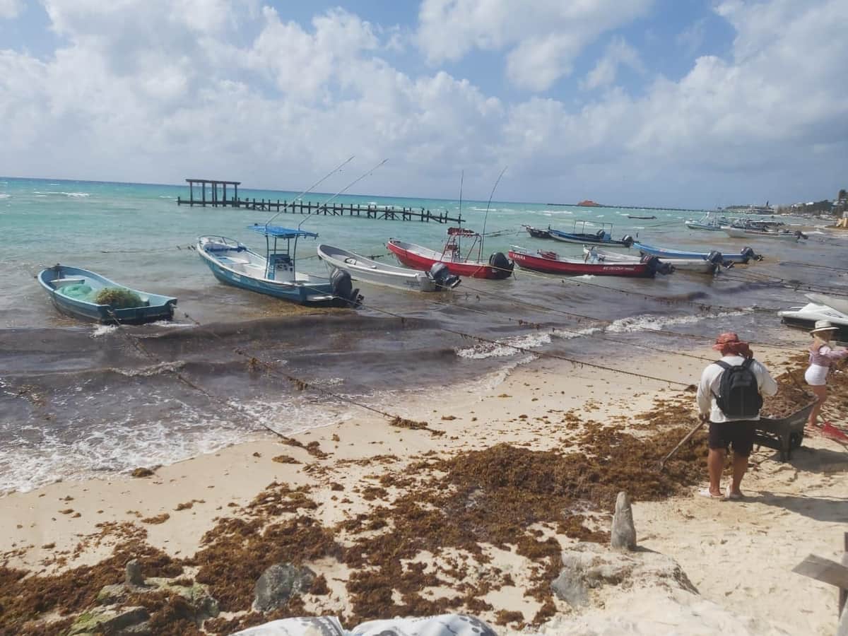 Pesca ha bajado un 50% en Playa del Carmen debido al mal tiempo