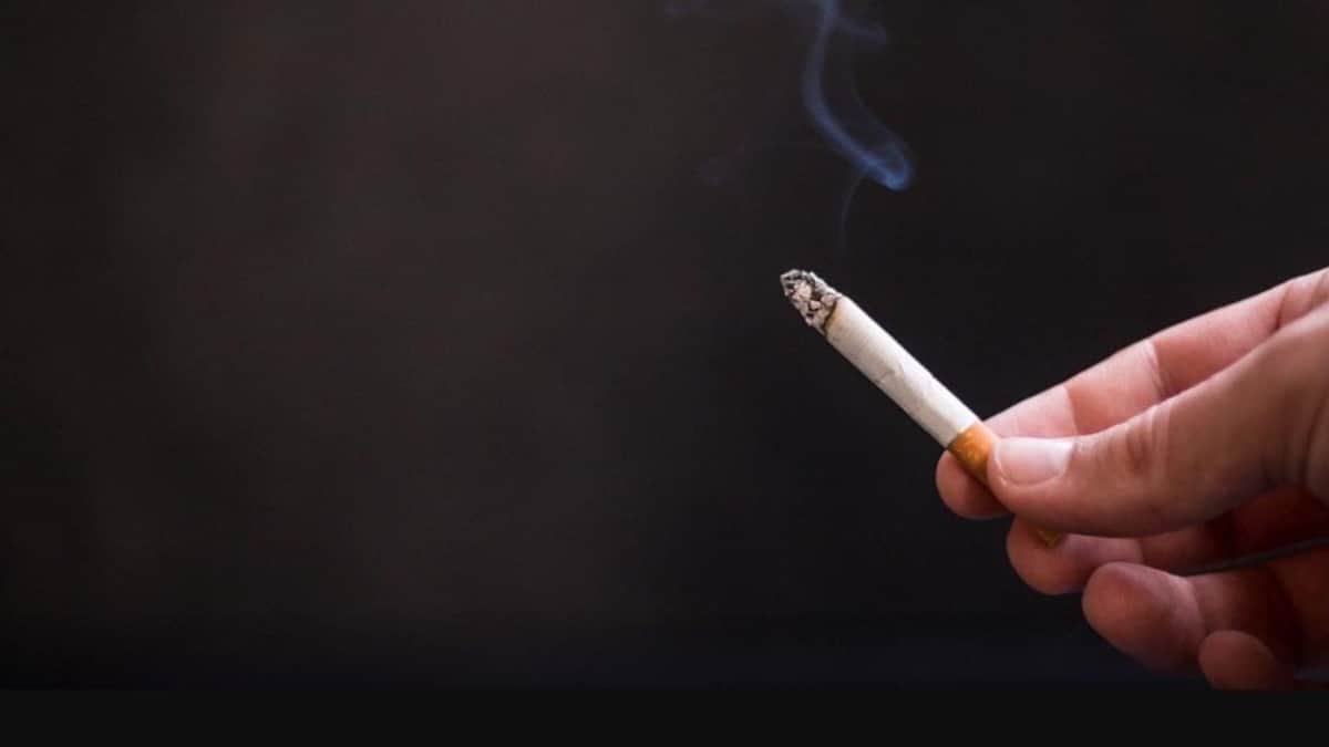 Agremiados de Canaco Playa del Carmen aún no han sido afectados por la ley antitabaco