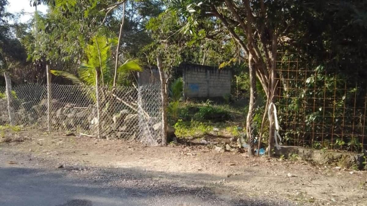 Acusan a lideresa de invadir un terreno escriturado en Las Fincas de Cozumel