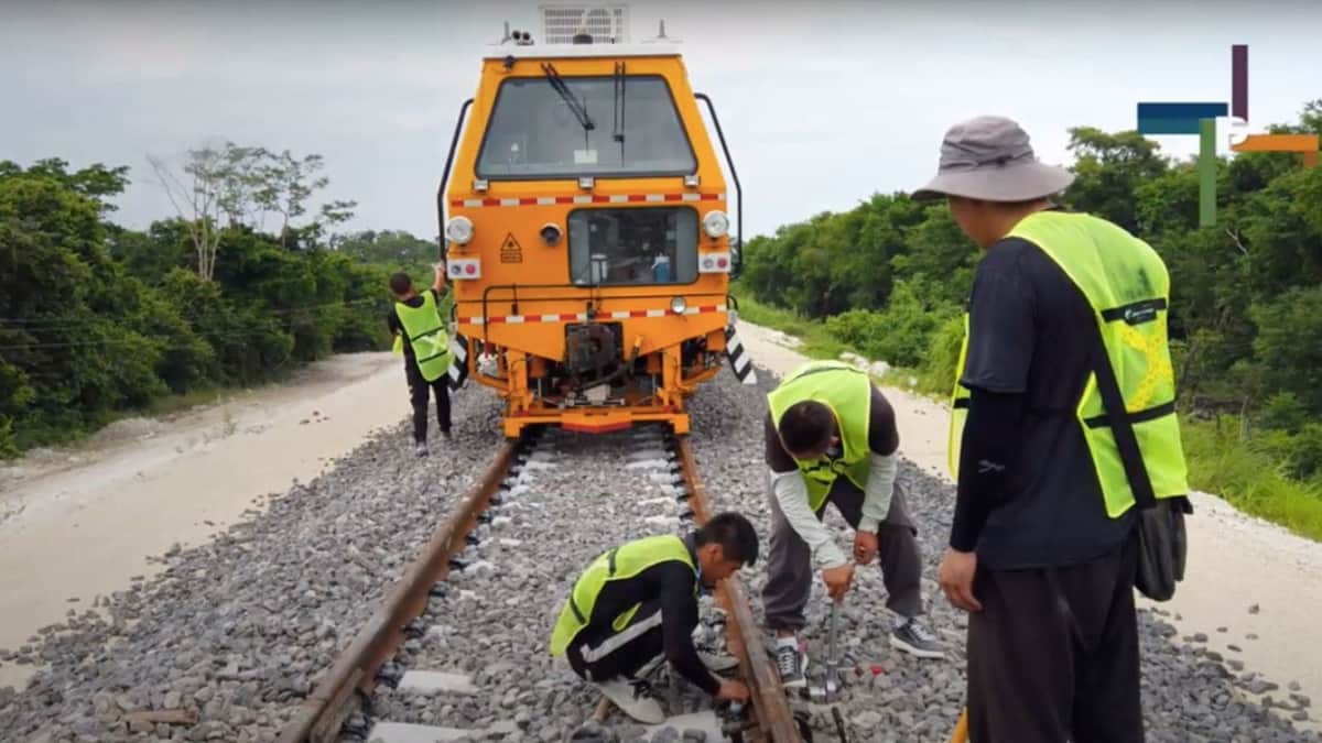 Un error, detener las obras del Tren Maya tras lo invertido: Pablo Alcocer