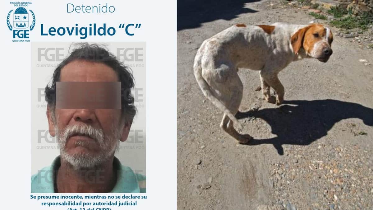 Orden de aprehensión contra zoofílico en Chetumal; se metió con un perrito