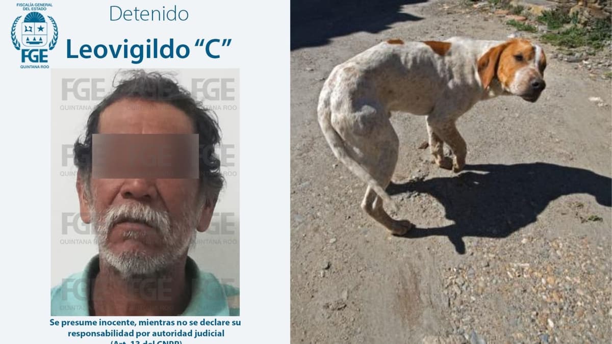 Orden de aprehensión contra zoofílico en Chetumal; se metió con un perrito