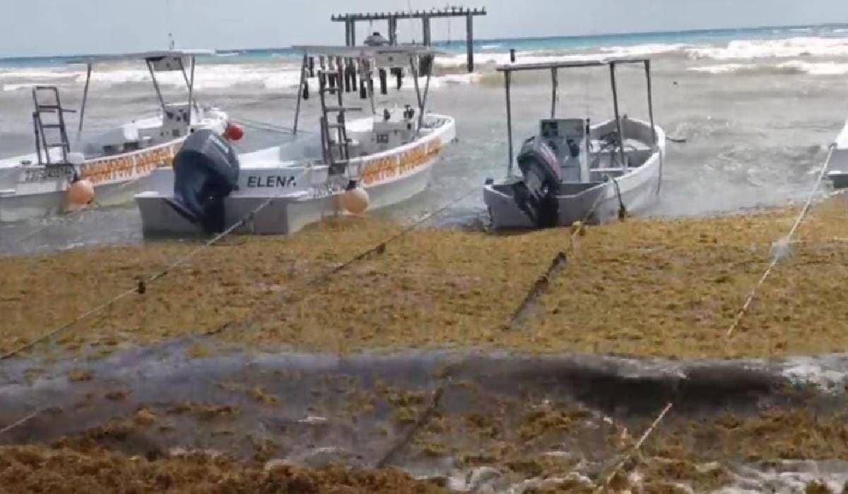 Surada sigue afectando a los prestadores de servicios en Playa del Carmen