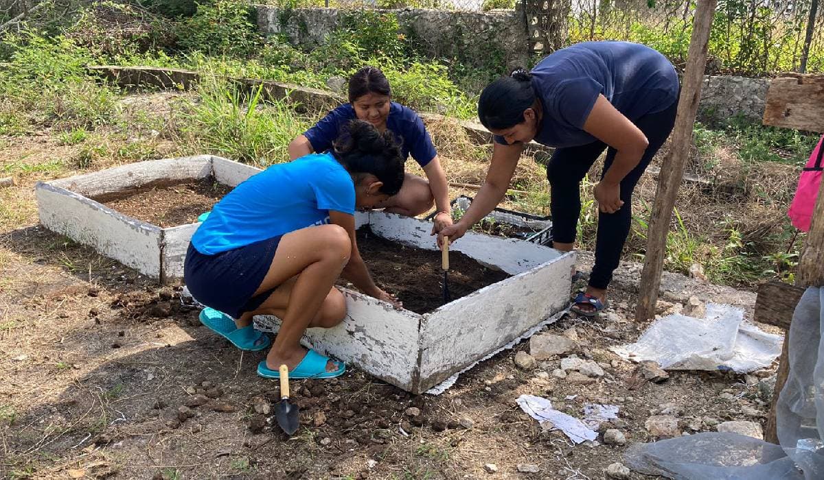 Enseñan a estudiantes a producir hortalizas con técnica ancestral maya, en Felipe Carrillo Puerto