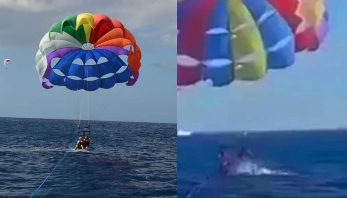 VIDEO: Tiburón salta y muerde pie de hombre que practicaba parapente