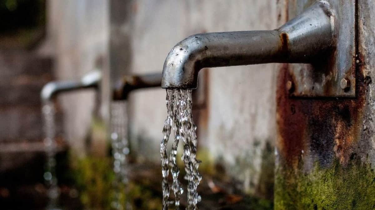 Si no se frena contaminación, en 20 años habrá mucho menos agua en Q. Roo: Amigos de Sian Ka’an