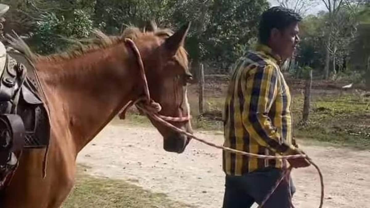 Plagian a tres personas en Bacalar, incluido un reportero