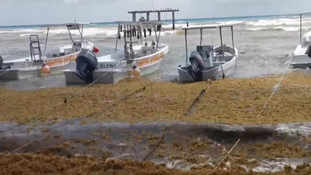 Vertido de arena y rescate de dunas, soluciones para la erosión de playas, afirma experto