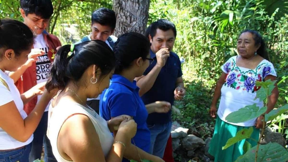 Universitarios y egresados defenderán las carreras que busca cerrar el rector de la Uqroo