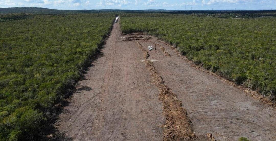 Autoridades de Solidaridad estudiarán posibles riesgos por explosiones del Tren Maya