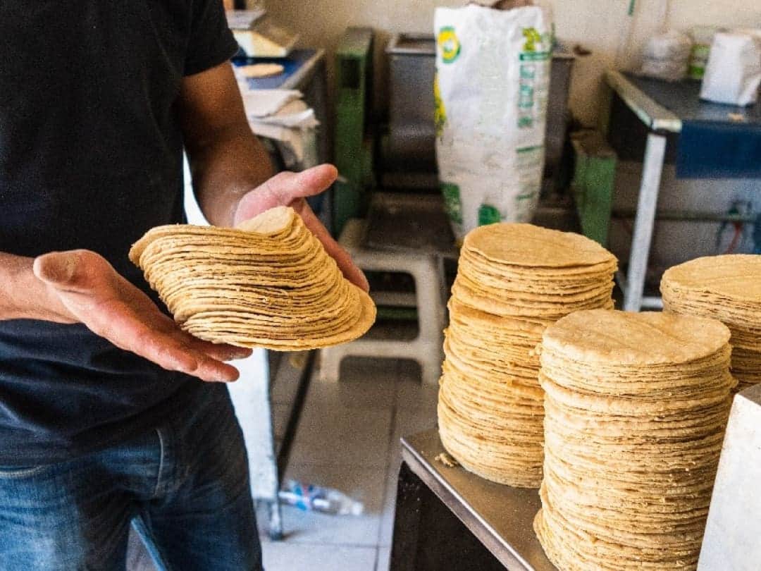 Entre 1 y 2 pesos, subirá el precio del kilo de tortilla