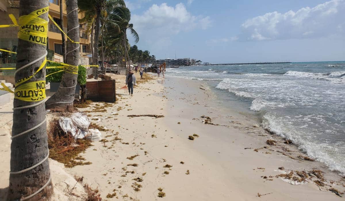 Provoca ‘mar de fondo’ erosión en playas en Playa del Carmen