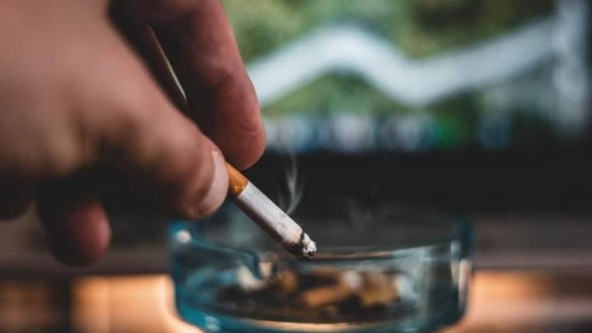 Empresarios siguen tramitando amparos contra ley antitabaco en Playa del Carmen