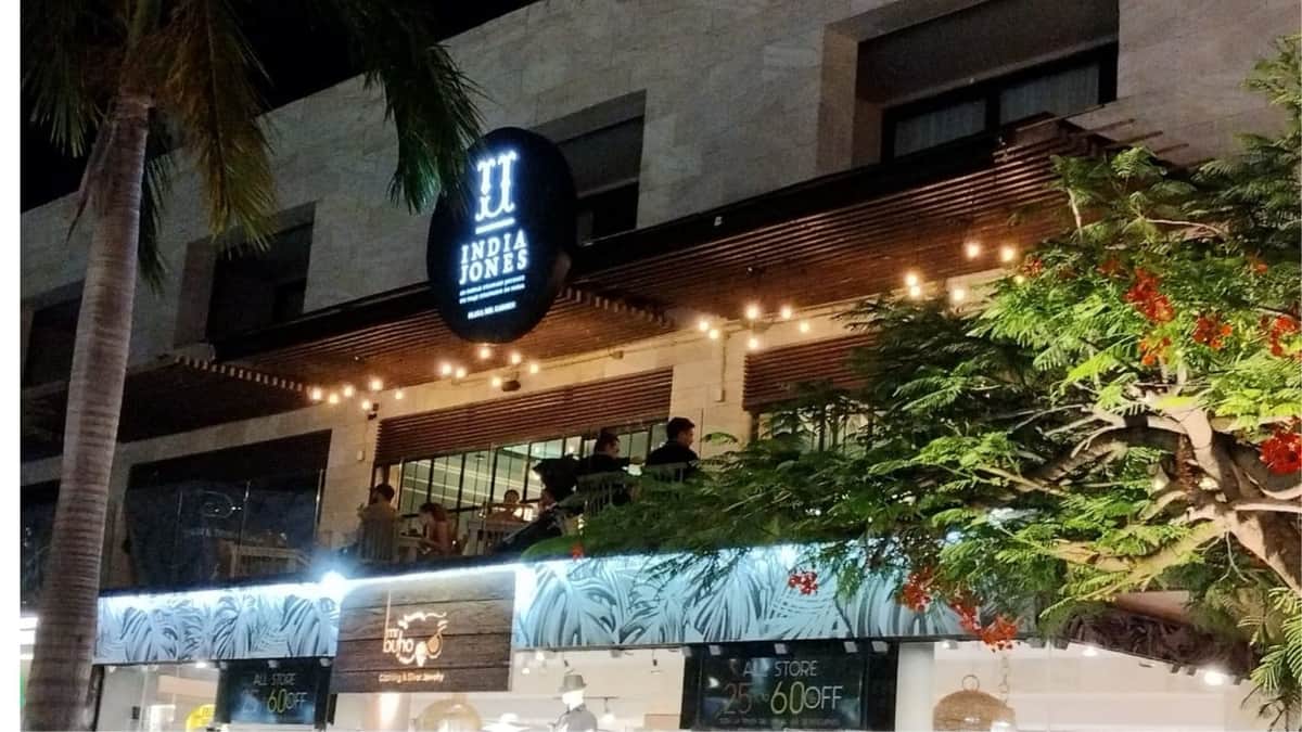 Causa revuelo tejón 'desorientado' en un restaurante de la Quinta Avenida