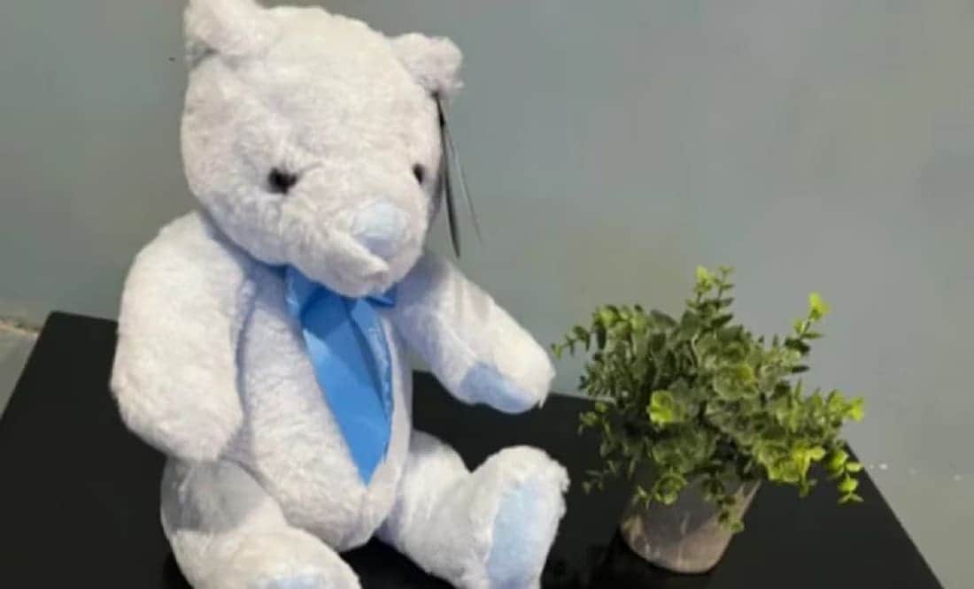 Quedó embarazada tras un encuentro casual y ahora busca al padre en TikTok