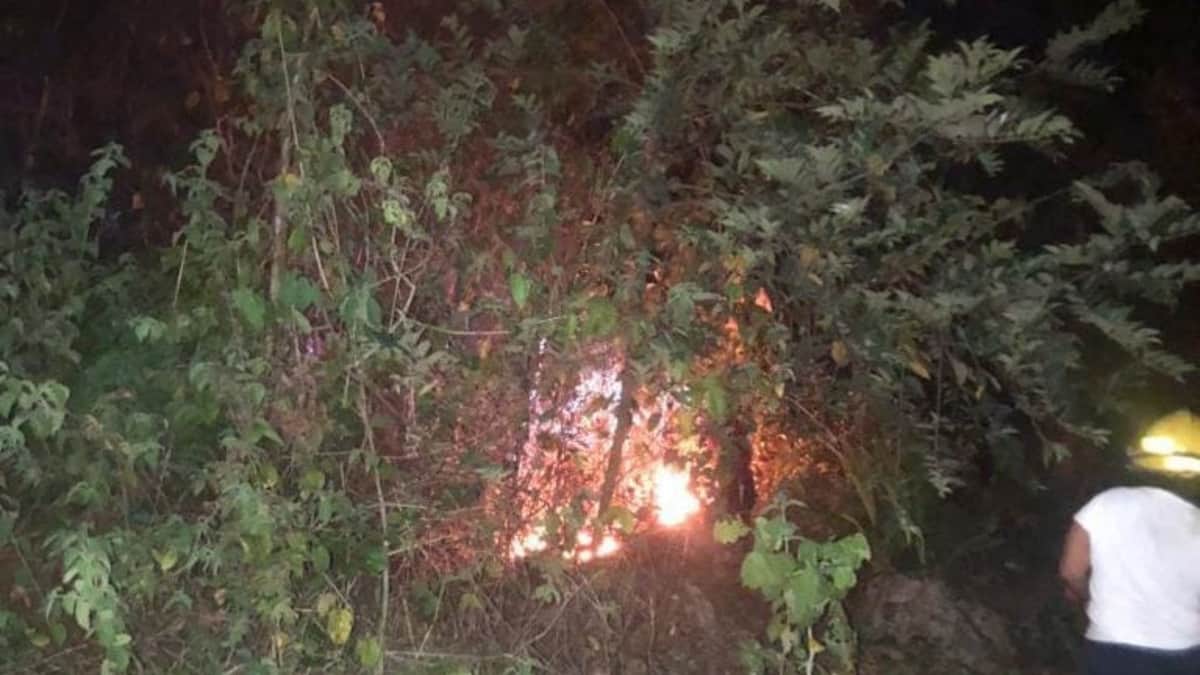 Sofocan incendio que arrasó con 50 hectáreas de selva y mangle en Xul-Ha