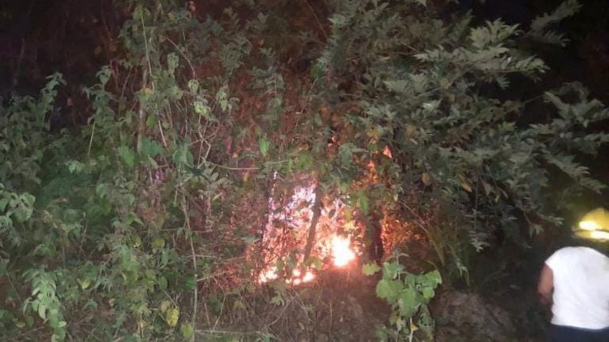 Sofocan incendio que arrasó con 50 hectáreas de selva y mangle en Xul-Ha