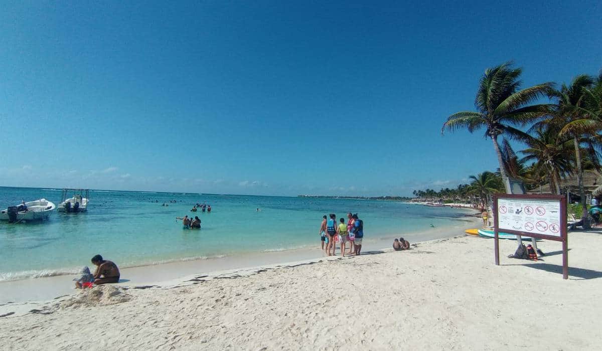 Mantienen playas de la bahía de Akumal libre de sargazo