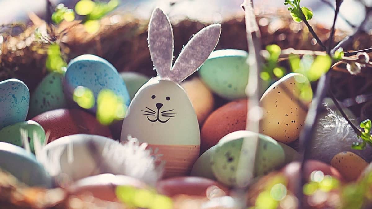 Invitan a pequeños solidarenses a buscar huevos de Pascua
