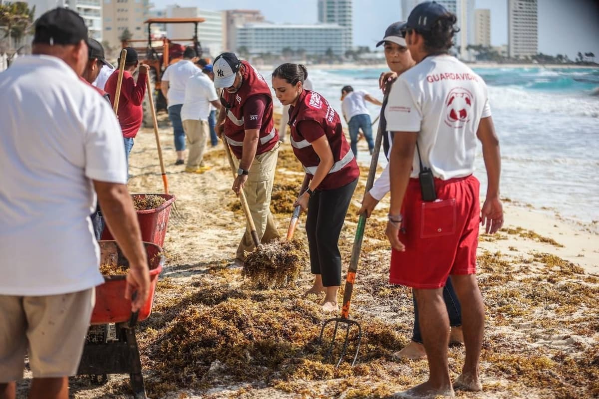 Refuerza A Paty Peralta limpieza de playas en temporada vacacional