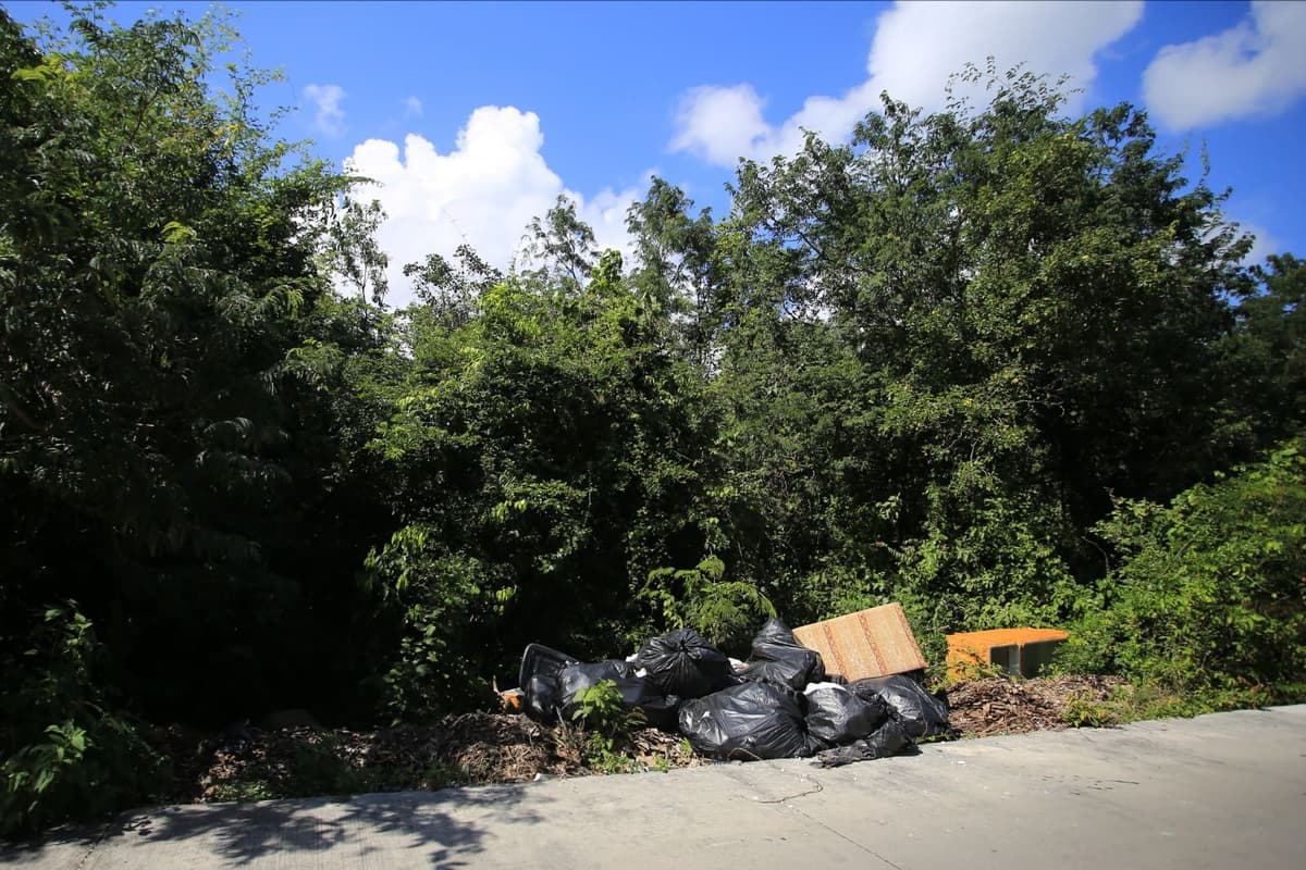 Convoca gobierno a mantener limpios predios y lotes baldíos