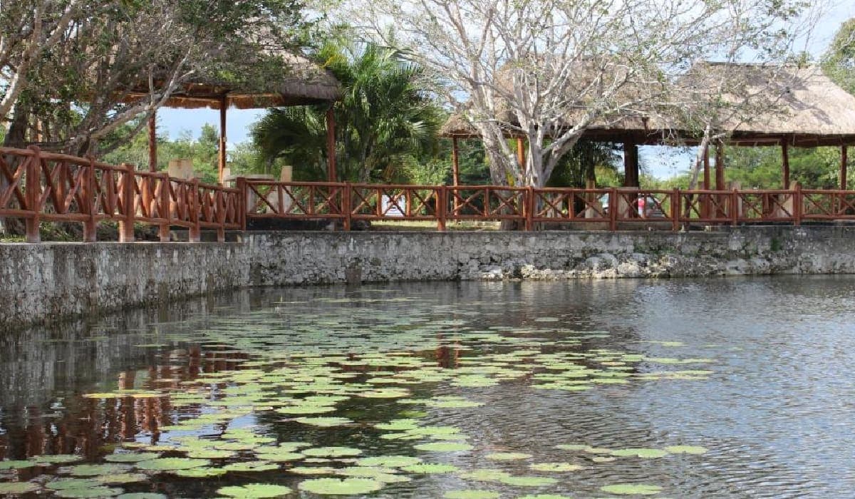 Puerto Morelos será sede de torneo internacional de buceo en cenotes