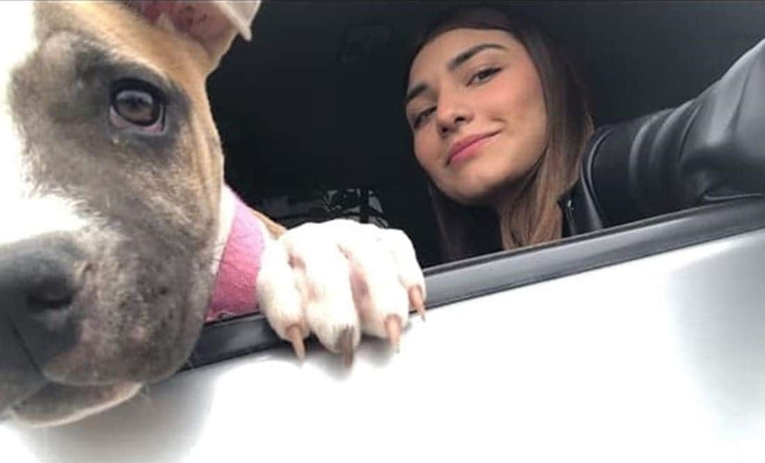 Joven fallece en accidente automovilístico y su perrita muere de tristeza a los pocos días
