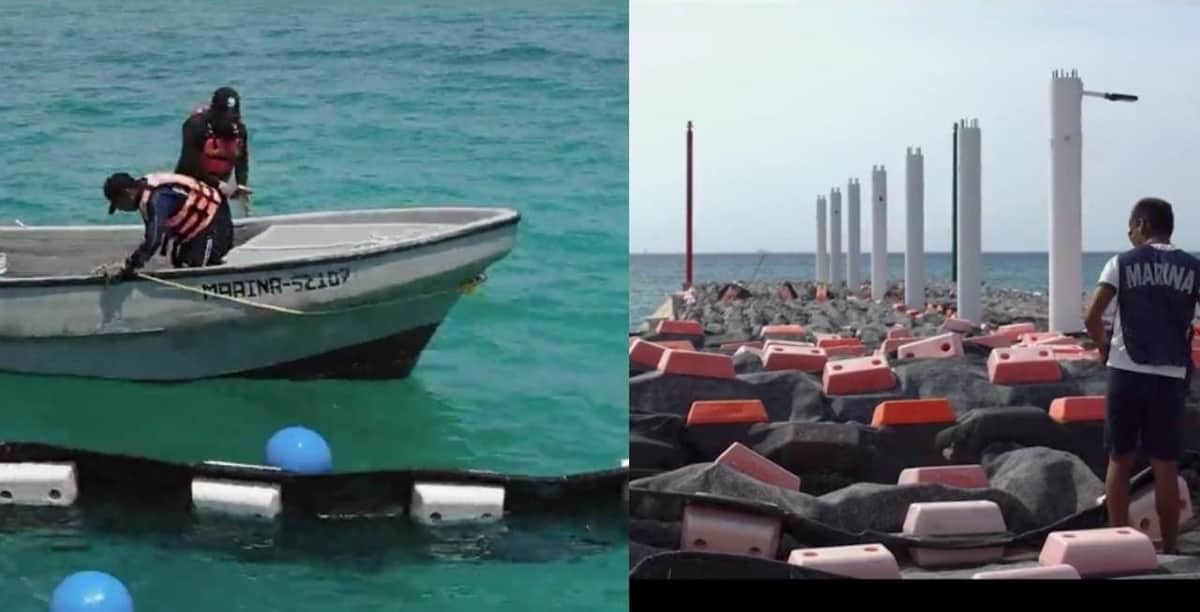 Marina y Gobierno de Quintana Roo contendrán el recale de sargazo