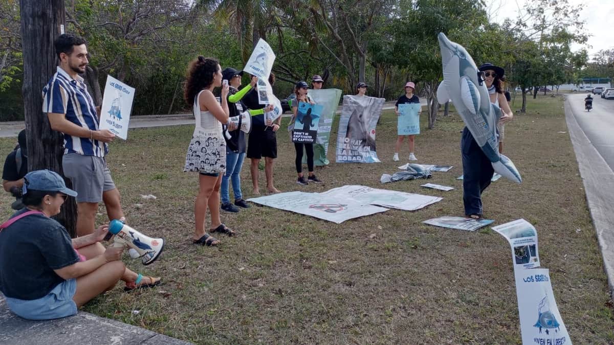 Protestan ambientalistas y ciudadanos de Cancún contra los delfinarios