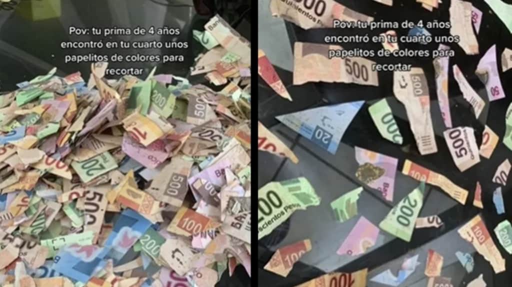 Niña recorta los ahorros de su primo para hacer “papelitos de colores”